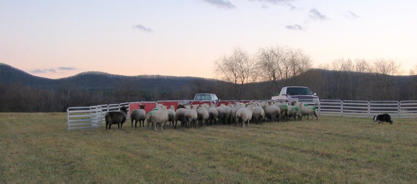 thumbnail_IMG_0669_edited-cropped